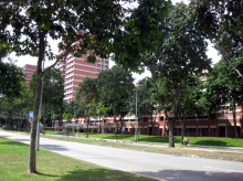 Blk 438 Hougang Avenue 8 (Hougang), HDB 4 Rooms #243672